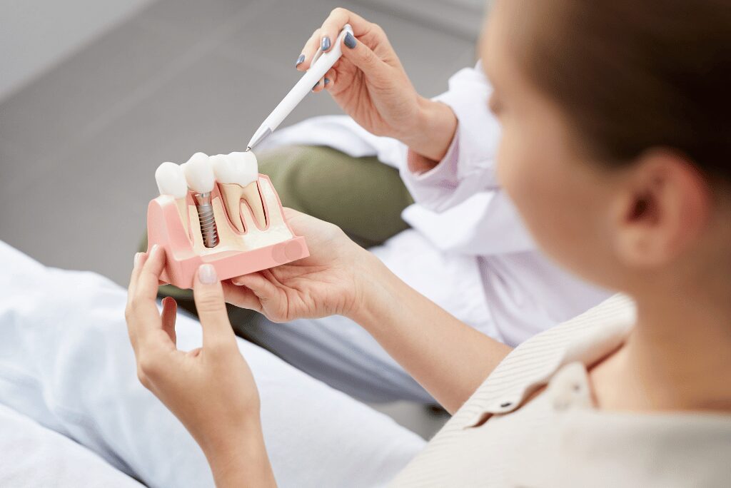Dentist explaining tooth implant model to patient during consultation